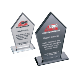 SHNB-161 Kristal Plaket - 