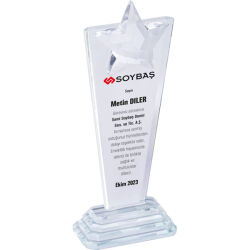 SHNB-590 Kristal Plaket - 